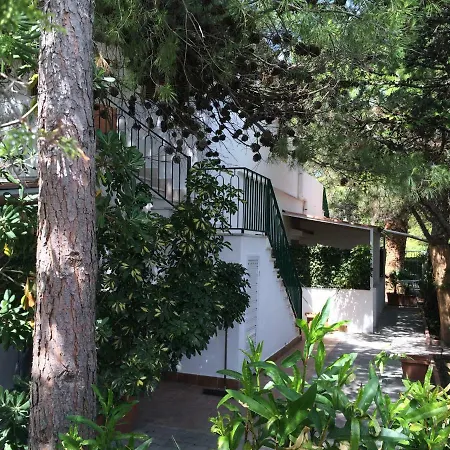 Irene Πανσιόν Βιέστε